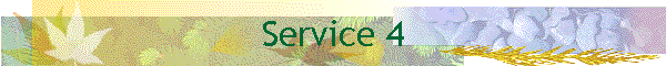 Service 4